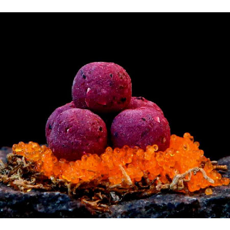 Bloodworm/Caviar Protein Vérféreg/Kaviár