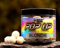 Blondie Pop Up