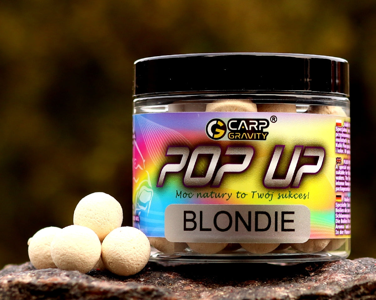 Blondie Pop Up