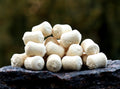 Dumbells Pop Up Bio Rák