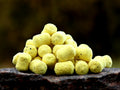 Dumbells Pop Up Pineapple Storm Ananász